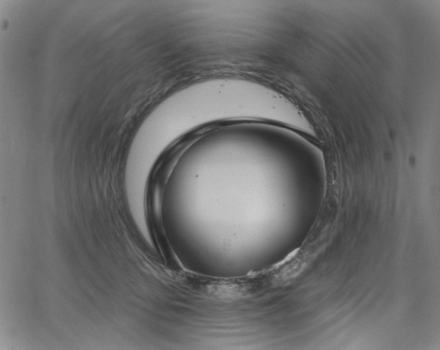 X0000064740419200602101152