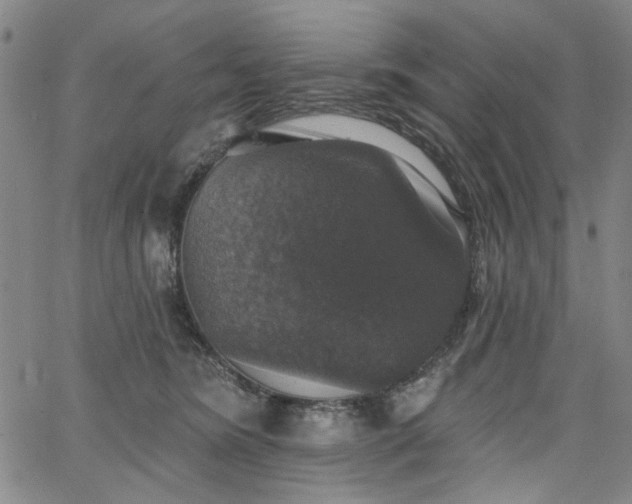 X0000064740420200602101152