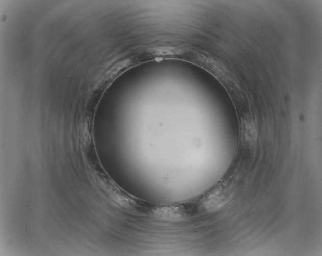 X0000064740422200602101152