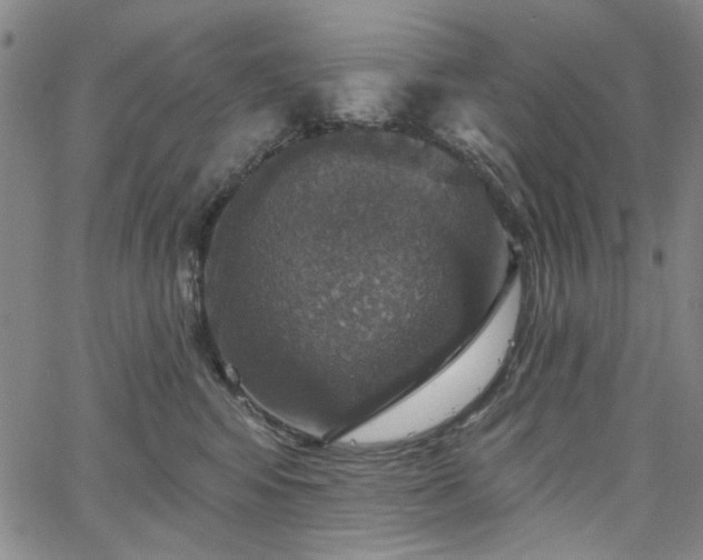 X0000064740424200602101152