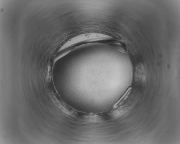 X0000064740428200602101152