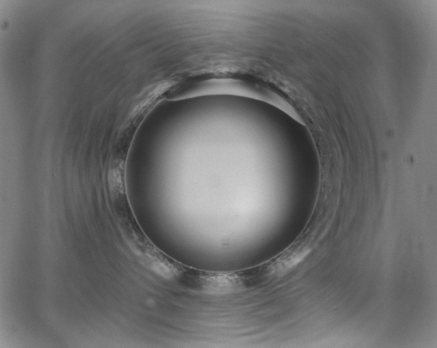X0000064740432200602101152
