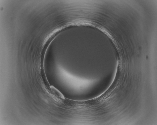 X0000064740438200602101152