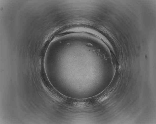 X0000064740448200602101152