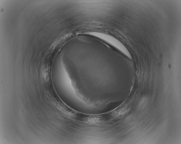 X0000064740462200602101152