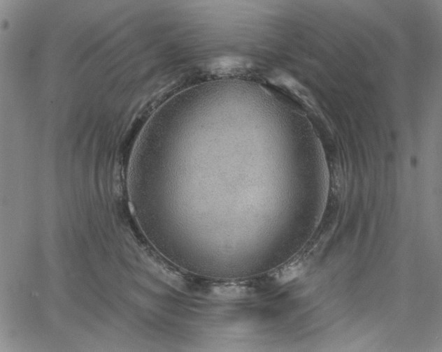 X0000064740470200602101152