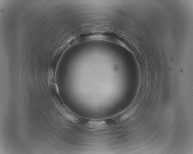 X0000064740480200602101152