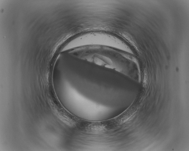 X0000064740491200602101151