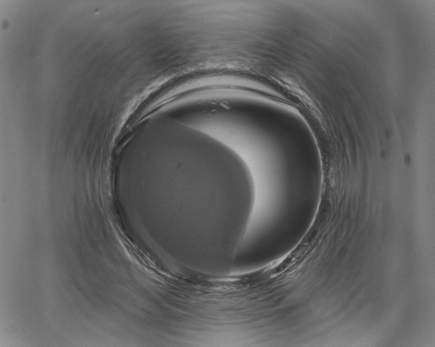 X0000064740492200602101151