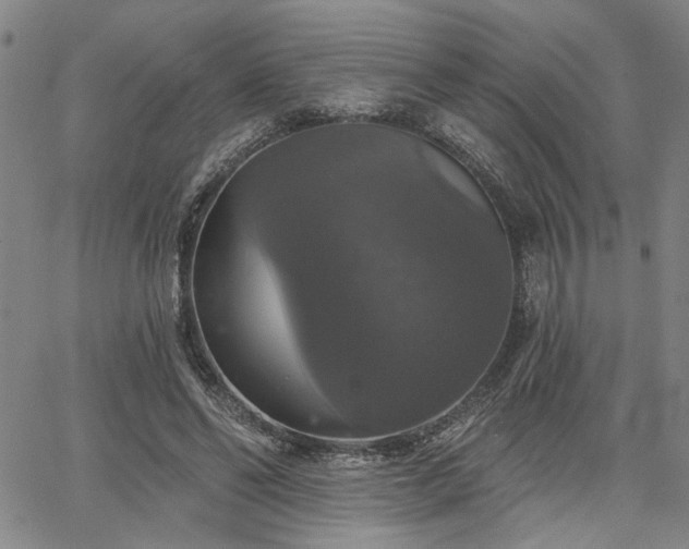 X0000064740494200602101151