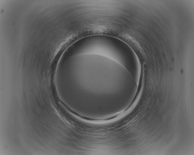 X0000064740496200602101151
