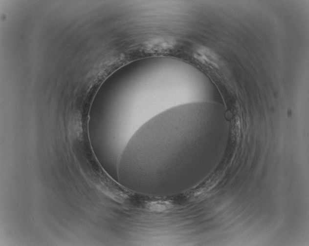 X0000064740508200602101151