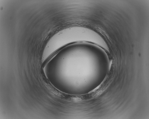 X0000064740509200602101151