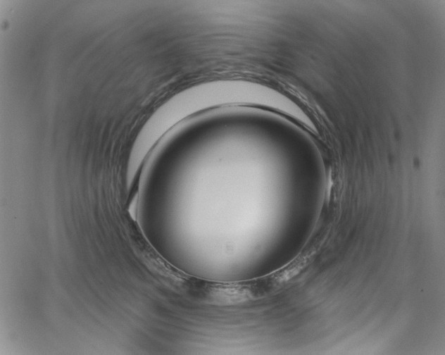 X0000064740521200602101151