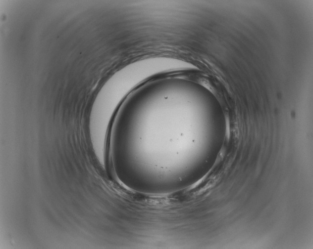 X0000064740524200602101151