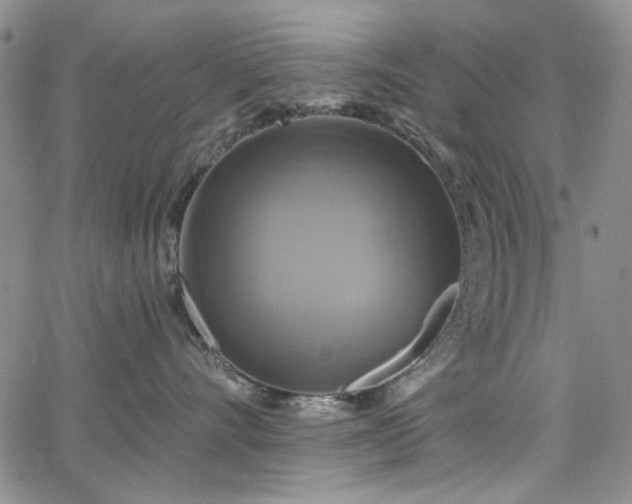 X0000064740528200602101151