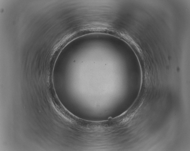 X0000064740533200602101150