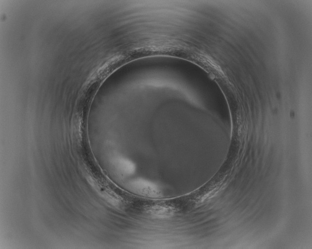 X0000064740542200602101150