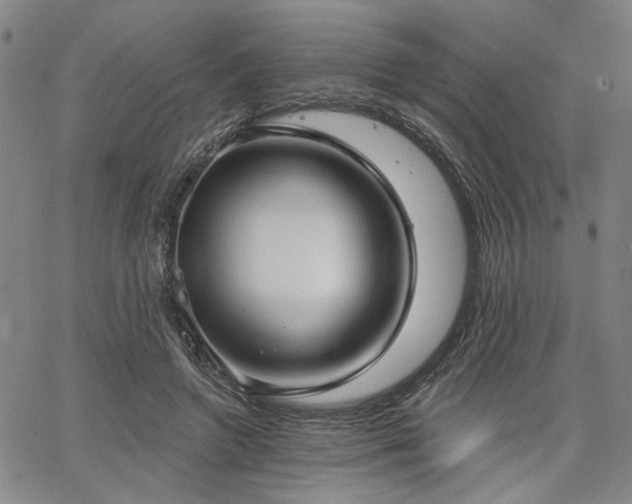 X0000064740546200602101150