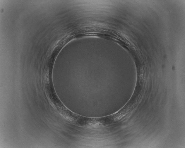 X0000064740547200602101150
