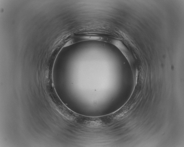 X0000064740548200602101150