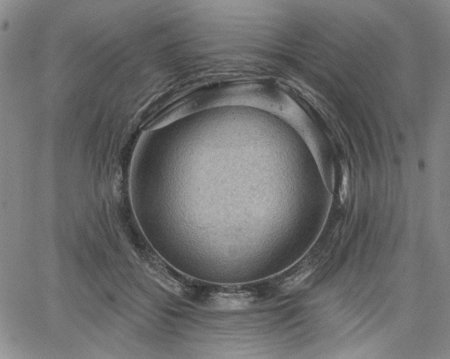 X0000064740556200602101150
