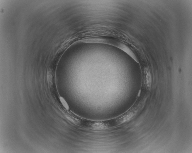 X0000064740562200602101150