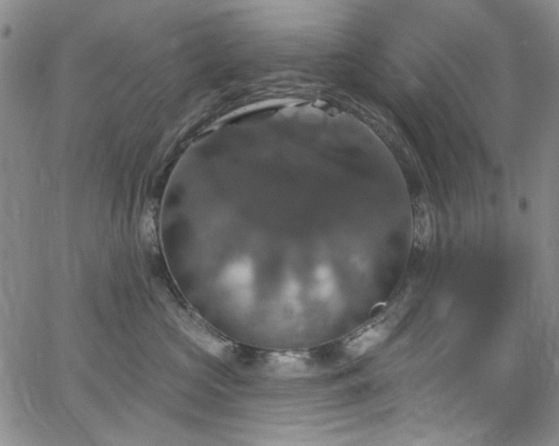 X0000064740573200602101151