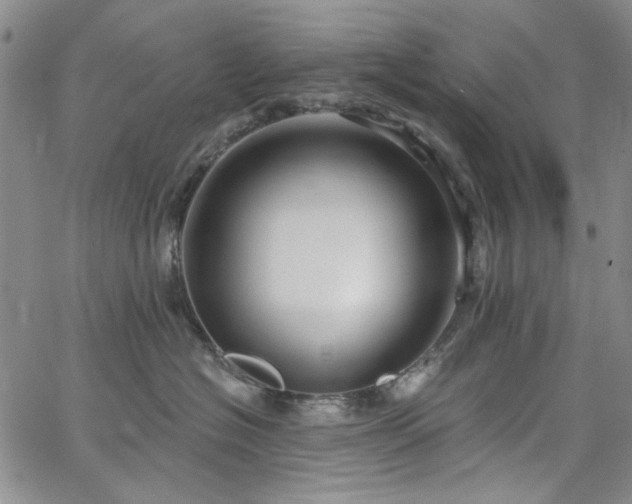 X0000064740574200602101151
