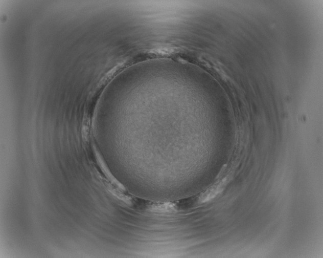 X0000064740576200602101151