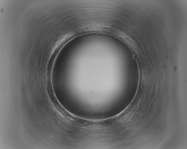 X0000064740578200602101150