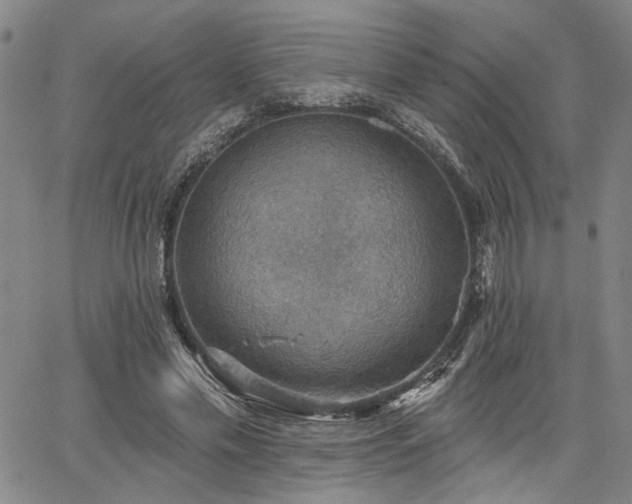 X0000064740589200602101150
