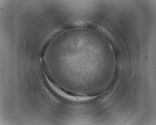 X0000064740593200602101150