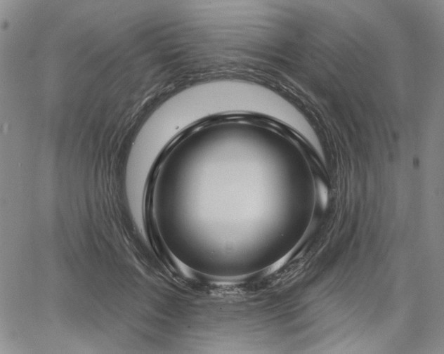 X0000064740603200602101149