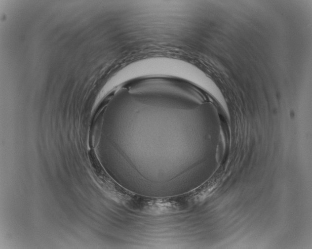 X0000064740607200602101149