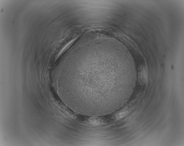 X0000064740608200602101149