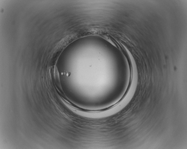 X0000064740611200602101149