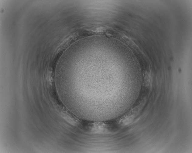 X0000064740612200602101149