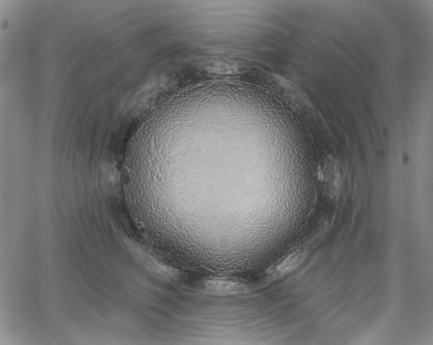 X0000064740614200602101149