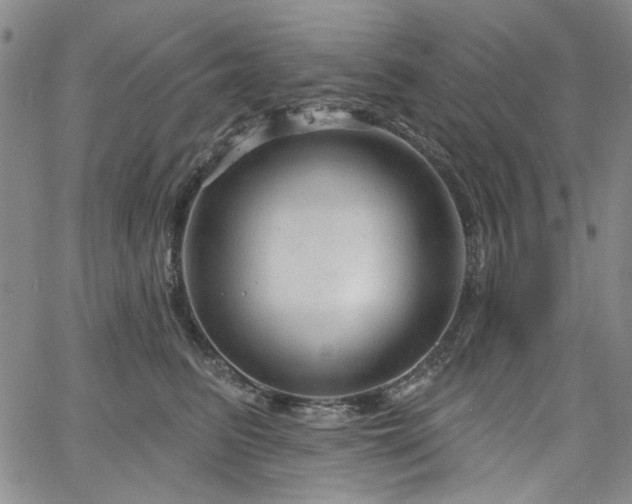 X0000064740615200602101149