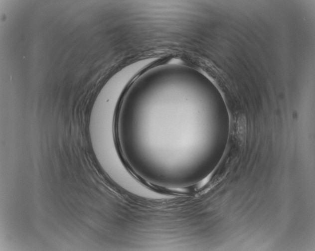 X0000064740617200602101149