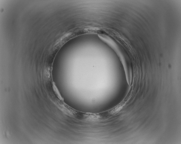 X0000064740621200602101149