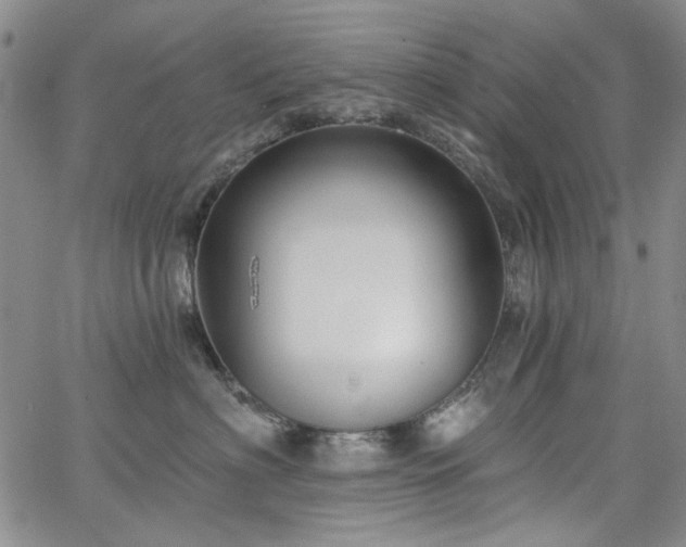 X0000064740622200602101149