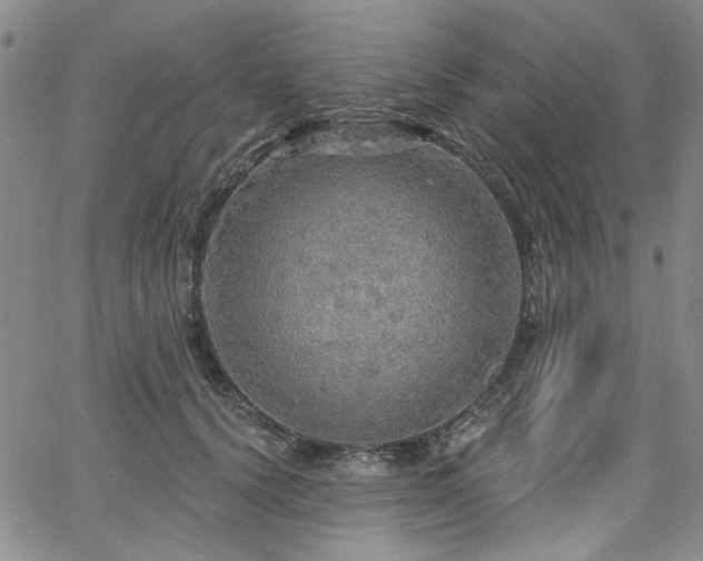 X0000064740656200602101149