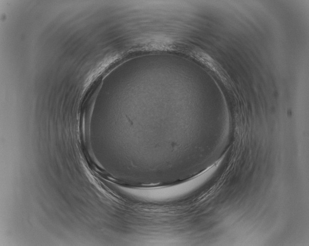 X0000064740677200602101148