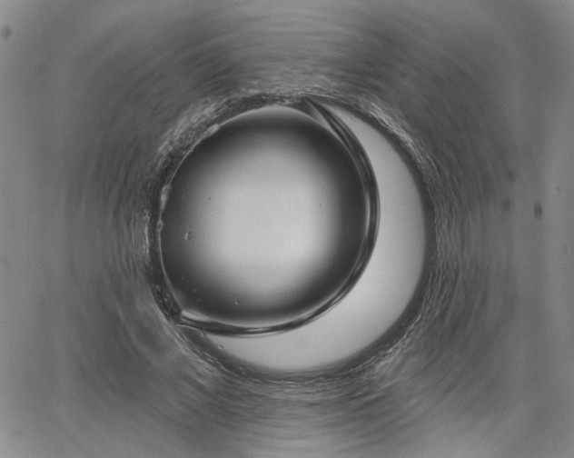 X0000064740685200602101148
