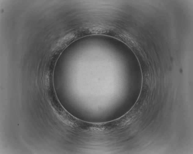 X0000064740690200602101148
