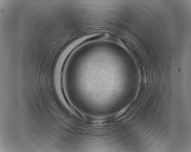 X0000064740700200602101148