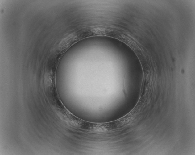 X0000064740702200602101148