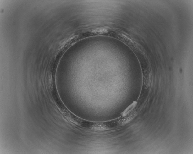 X0000064740704200602101148
